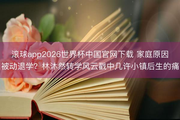 滚球app2026世界杯中国官网下载 家庭原因被动退学?林沐然转学风云戳中几许小镇后生的痛