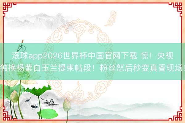 滚球app2026世界杯中国官网下载 惊!央视独换杨紫白玉兰提柬帖段!粉丝怒后秒变真香现场!