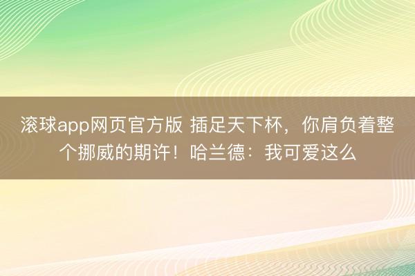 滚球app网页官方版 插足天下杯，你肩负着整个挪威的期许！哈兰德：我可爱这么